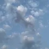 signesensabaugh