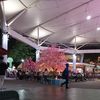 siti.khodijah4479