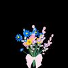 cxy_fourtine