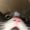 _ang_92