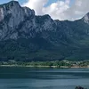 lari_fari264