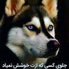 user881486177545