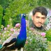 muhammadakbarwain