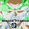 MEADAS_TITANICAS