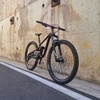 mtb_lover20100616