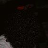 hazzal393