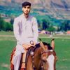 zia.rehmat