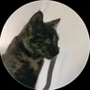 yuki_lechat
