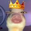 clarencedaribal0