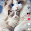 janetha551