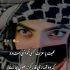 aneesiqbal245