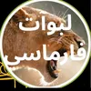 najatamarniss7