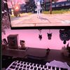 adi_v.14
