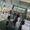 zarita.pineda