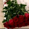 aida.aliyeva14