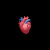 user77018056190775