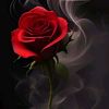 tabssum.bhati