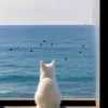 tuinehee_