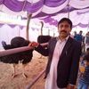 mian.safdar033