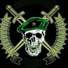 comando6428