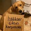 siraaskim