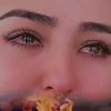 نسيم الحياء🌹🌹🌹