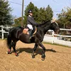 eq_anna0