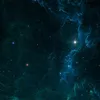 ninelivesalive19
