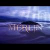 merlin_00000