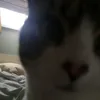 tempusfugis0
