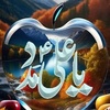 ya.ali.madad2311