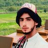shabirahmad78615