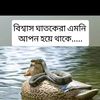 my.love2588