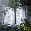 noor_hane4