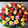 khadiza.khadiza793