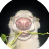 ksawerythegoalkee