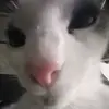 clxranobed