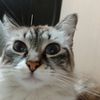 fafafafabi_