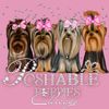 Poshable Puppies Chicago