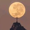 midnightowl2712