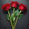 salma.rami087