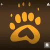beardedbear11