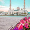 amir_.mhd