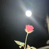 iqra.khan2722