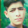 123gulzib