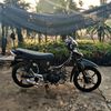 fandi3_1