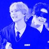 stay_7051