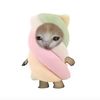 it.is.defnot_4lexa
