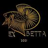 ex.bettafish