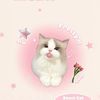 dugilovescandy